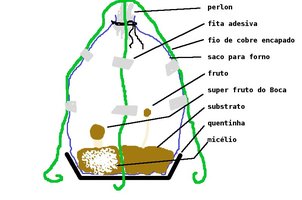projeto.jpg