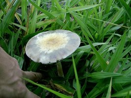 PIC_0028.JPG