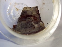 100_2780.jpg