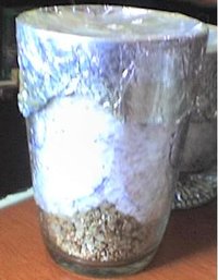 23-01-07_1545.jpg