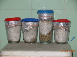 23-01-2007 casa - 34.JPG