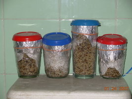 23-01-2007 casa - 35.JPG