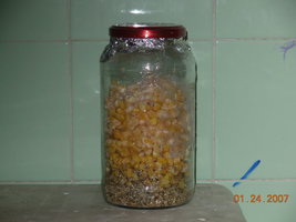 23-01-2007 casa - 31.JPG