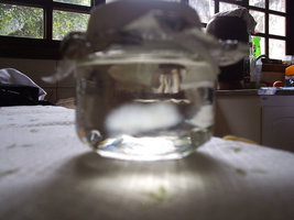 liquida.jpg