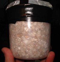 pote redondo pesa.jpg
