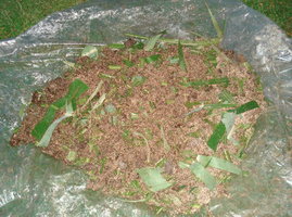 mistura  bulk 2.jpg