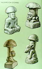 22-25_mushroom_stones.jpg
