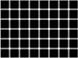 optical01.jpg