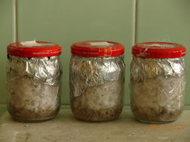 05-02-2007 casa - 53.JPG