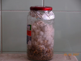 05-02-2007 casa - 55.JPG