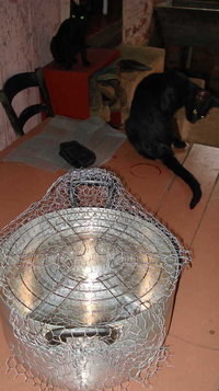 pasteurizador 1.jpg