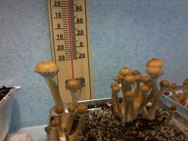 2011-09-20 21.30.09.jpg