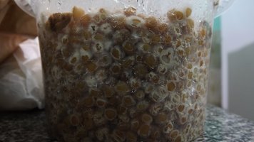 DSCF7909.JPG