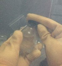 06.jpg