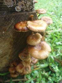 DSC02822.JPG