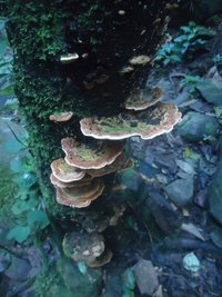 DSC02909.JPG
