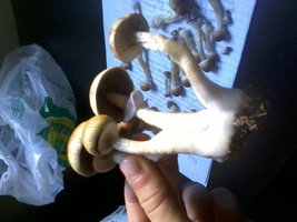 2013-07-25 13.58.37.jpg