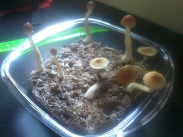 2013-08-01 14.57.26.jpg