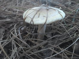 2013-07-28 14.17.55.jpg