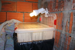 ai7.photobucket.com_albums_y273_Seriuskiller_IMG_0120.jpg