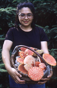 aupload.wikimedia.org_wikipedia_commons_e_e0_Basket_of_Amanita_muscaria.png