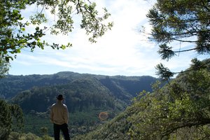 _DSC2167.jpg
