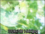aimg69.exs.cx_img69_4165_101no.th.jpg