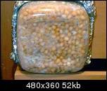 aimg58.exs.cx_img58_1577_163zu.th.jpg
