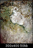 aimg58.exs.cx_img58_1193_196kw.th.jpg