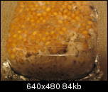 aimg58.exs.cx_img58_9995_219ei.th.jpg