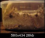 aimg103.exs.cx_img103_9919_332mg.th.jpg
