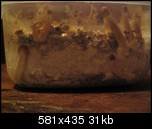 aimg103.exs.cx_img103_8931_342ns.th.jpg