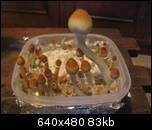 aimg56.exs.cx_img56_6370_382di.th.jpg