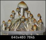 aimg103.exs.cx_img103_8564_397yo.th.jpg