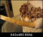 aimg82.exs.cx_img82_609_img01238lp.th.jpg
