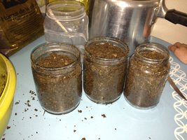 IMG_0944.JPG