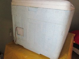 IMG_1200.jpg