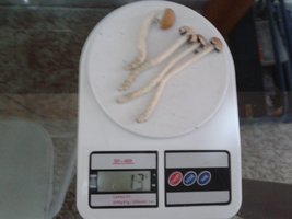 2013-08-11 08.45.49.jpg
