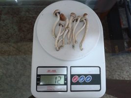2013-08-12 08.28.56.jpg