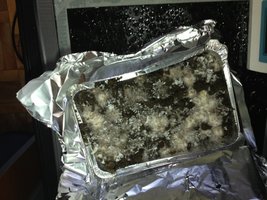IMG_0964.JPG