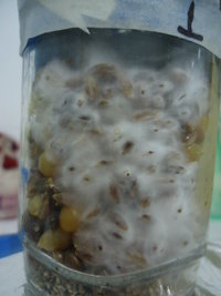 DSC03017.JPG
