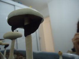 DSC03025.JPG