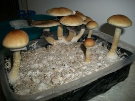 100_6116.jpg