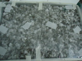 DSC03034.JPG