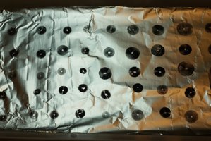 psilocybe-tampanensis13.jpg