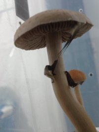 2013-08-15 21.48.48.jpg
