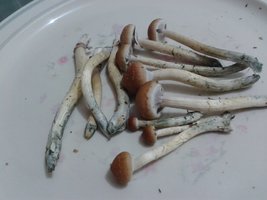 2013-08-15 22.12.22.jpg