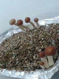 2013-08-15 22.33.13.jpg