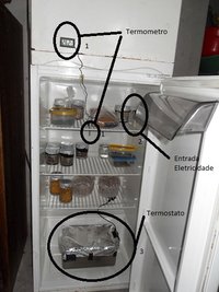SDC11743.JPG