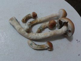 2013-08-16 18.38.14.jpg